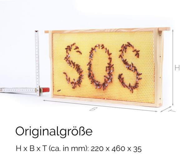 Honigwabe mit Bienen-SOS – Bild 9