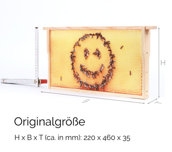 Honigwabe mit Bienen-Smiley – Bild 9