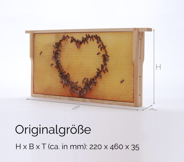 Honigwabe mit Bienen-Herz – Bild 7