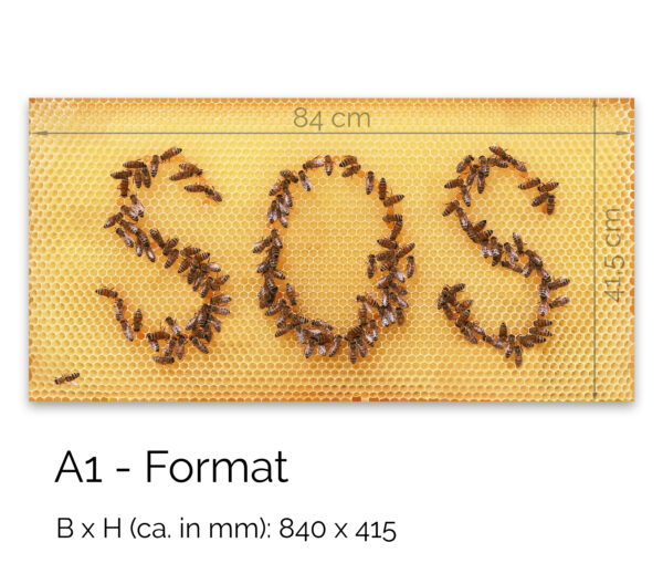 Poster Bienen-SOS, A1 84 x 41 cm – Bild 3