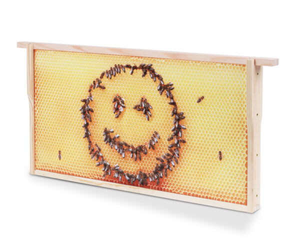 Honigwabe mit Bienen-Smiley