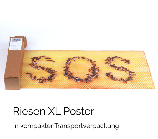 Poster Bienen-SOS, A1 84 x 41 cm – Bild 4