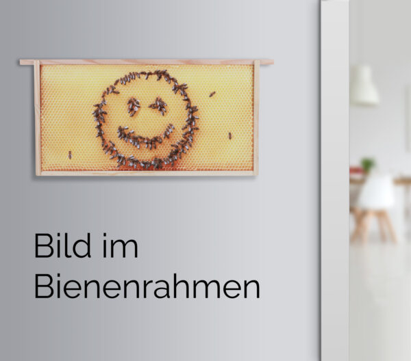 Honigwabe mit Bienen-Smiley – Bild 3