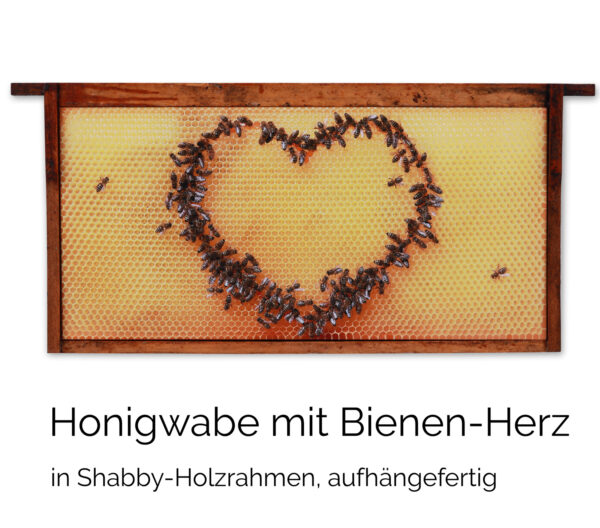 Honigwabe mit Bienen-Herz im shabby Rahmen – Bild 4