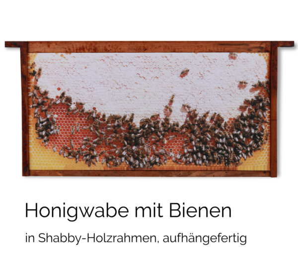 Honigwabe voll im shabby Rahmen (Kopie) – Bild 4