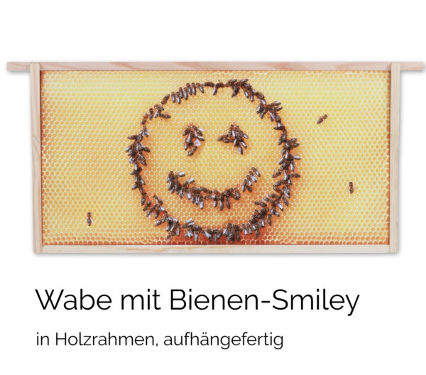 Honigwabe mit Bienen-Smiley – Bild 4