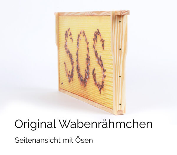 Honigwabe mit Bienen-SOS – Bild 5