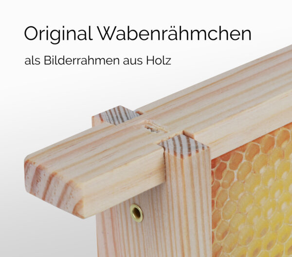 Honigwabe mit Bienen-SOS – Bild 6